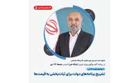 موضوع مهم و اساسی برنامه‌های دولت برای ثبات‌بخشی به قیمت‌هاتشریح می شود